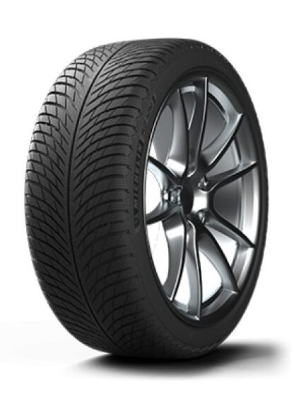 Michelin Pilot Alpin 5 315/30 R21 105V Lamell